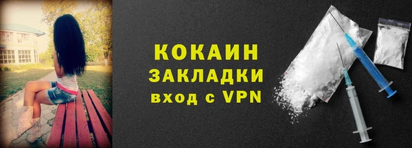 мдпв Ладушкин