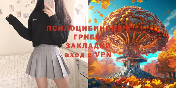 мдпв Ладушкин