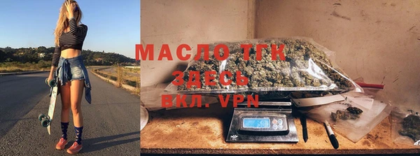 мдпв Ладушкин